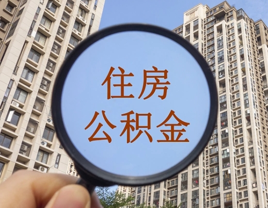 陵水退休后查不到公积金明细了吗（退休后公积金查询不到原因）